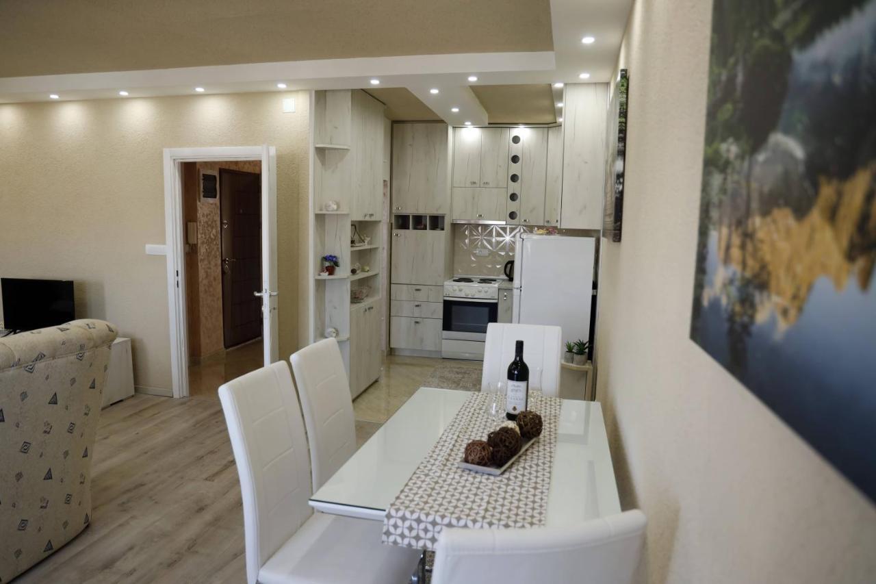 Apartment Alexandar 波德戈里察 外观 照片